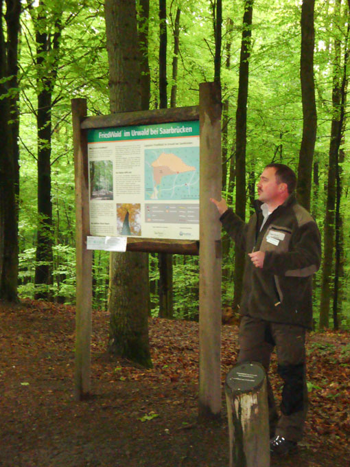 Friedwaldfahrt – Das Bestattungshaus Steimer & Grub Friedwaldfahrt - Das Bestattungshaus Steimer & Grub